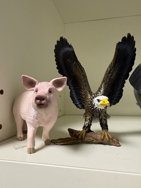 Statuine di un maialino e un'aquila su una mensola